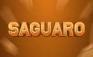 Cactus Dash Adventure